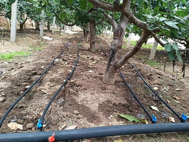 滴灌喷灌内镶圆柱滴灌管优选原料新型生产线