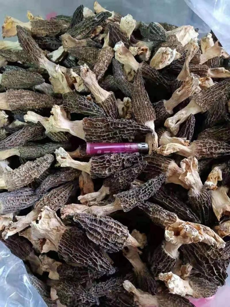 羊肚菌干品