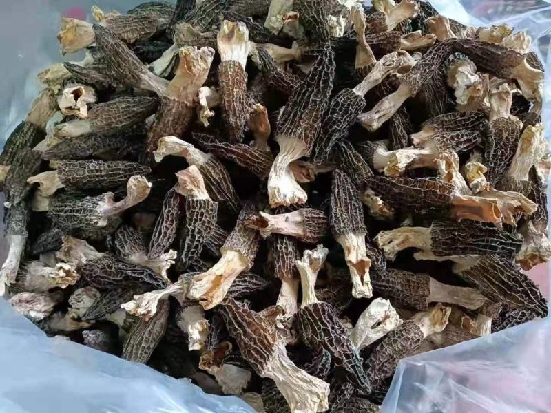 羊肚菌干品