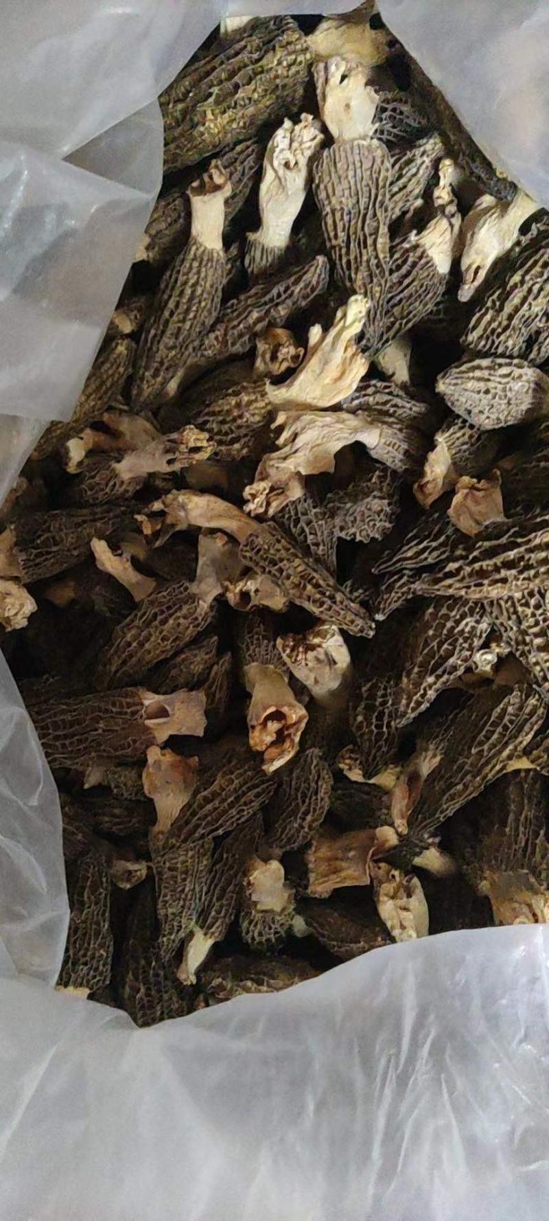 羊肚菌干品