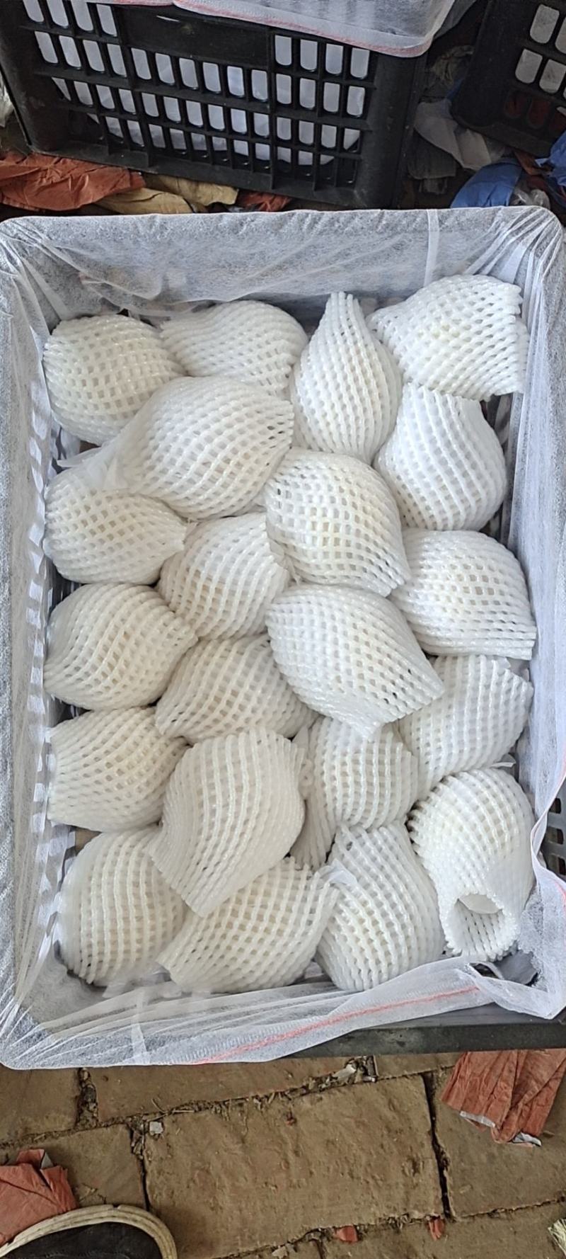 水晶鸭梨，大量上市中！寻实力批发商，电商合作！