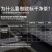贵茶绿宝石多彩礼盒