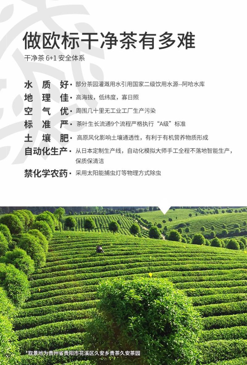 贵茶绿宝石多彩礼盒