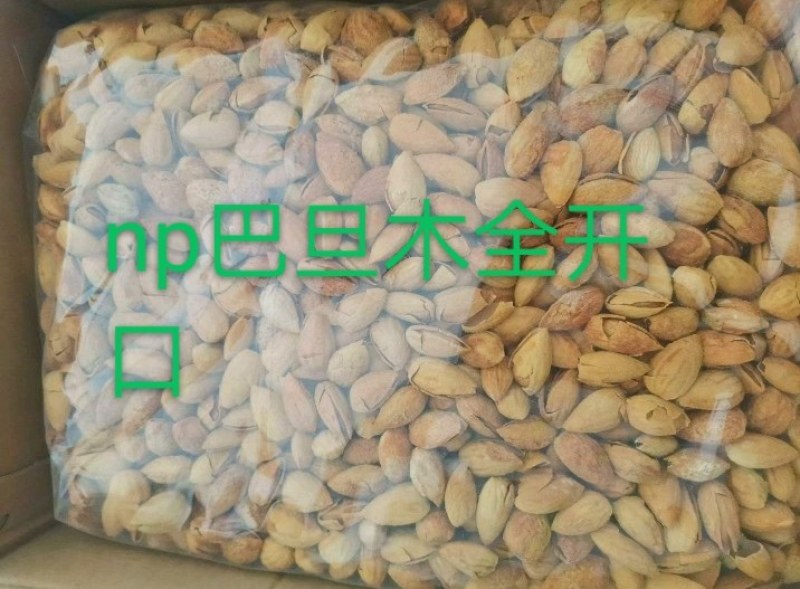 2023年新货纸皮巴旦木，厂家直销质量好包邮