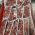 国产小碎肉…适合做馅子，丸子，炒，灌肠肉质新鲜