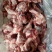 前腿骨，可以吃肉，喝骨髓的骨头，整根半截都有…支持加工定