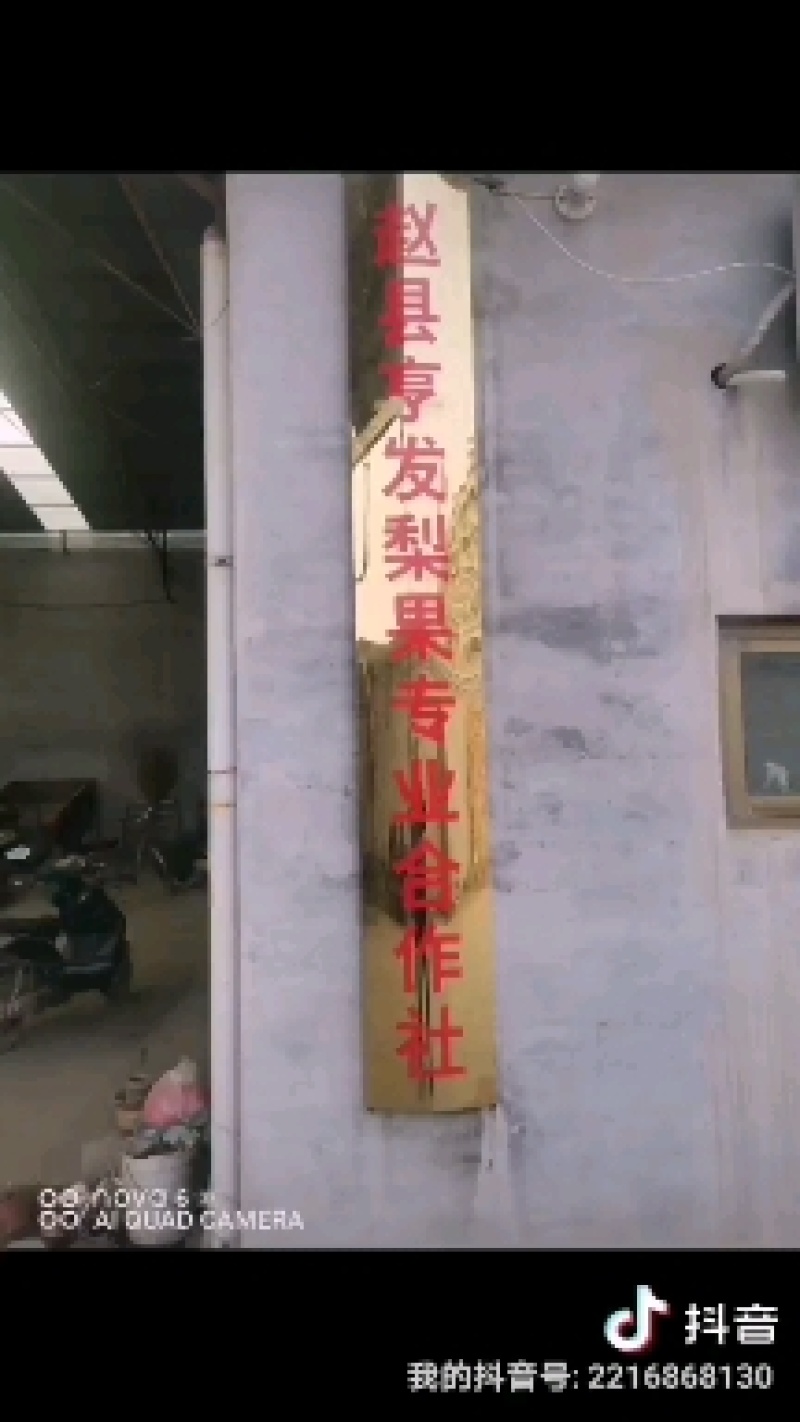 河北石家庄赵县曹庄亨发冷库梨果专业合作社