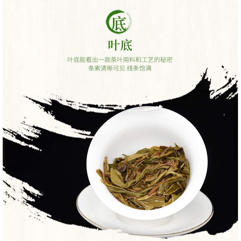 云南普洱生茶普洱茶饼古树茶回甘甜生津花香礼盒装