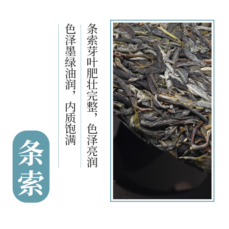 云南普洱生茶普洱茶饼古树茶回甘甜生津花香礼盒装