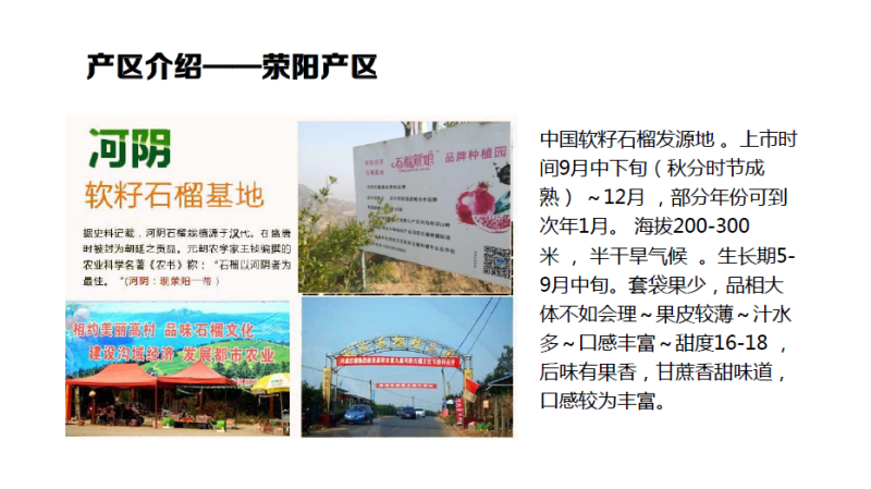 软籽石榴会理不吐籽新鲜现货礼盒特大果，一件代发、社区团购