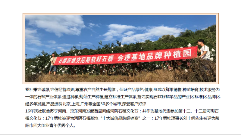 软籽石榴会理不吐籽新鲜现货礼盒特大果，一件代发、社区团购