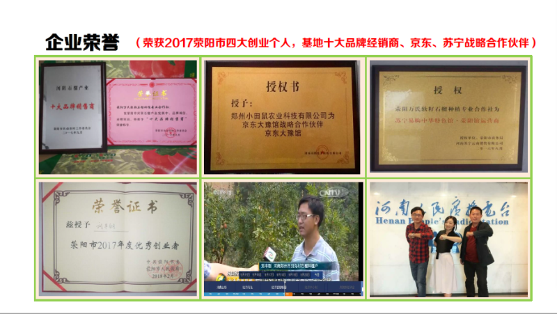 软籽石榴会理不吐籽新鲜现货礼盒特大果，一件代发、社区团购