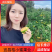 【推荐】湖北蜜桔甜蜜多汁，柑桔量大价优一条龙服务