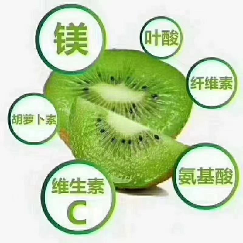 眉县优质徐香猕猴桃果园直发