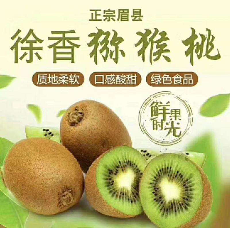 眉县优质徐香猕猴桃果园直发