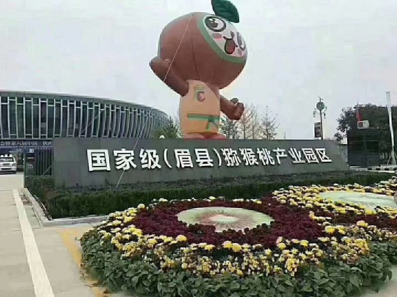 眉县优质徐香猕猴桃果园直发
