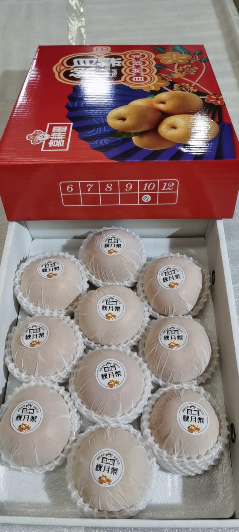 山东青岛胶州市千亩秋月梨9月1日左右大量上市