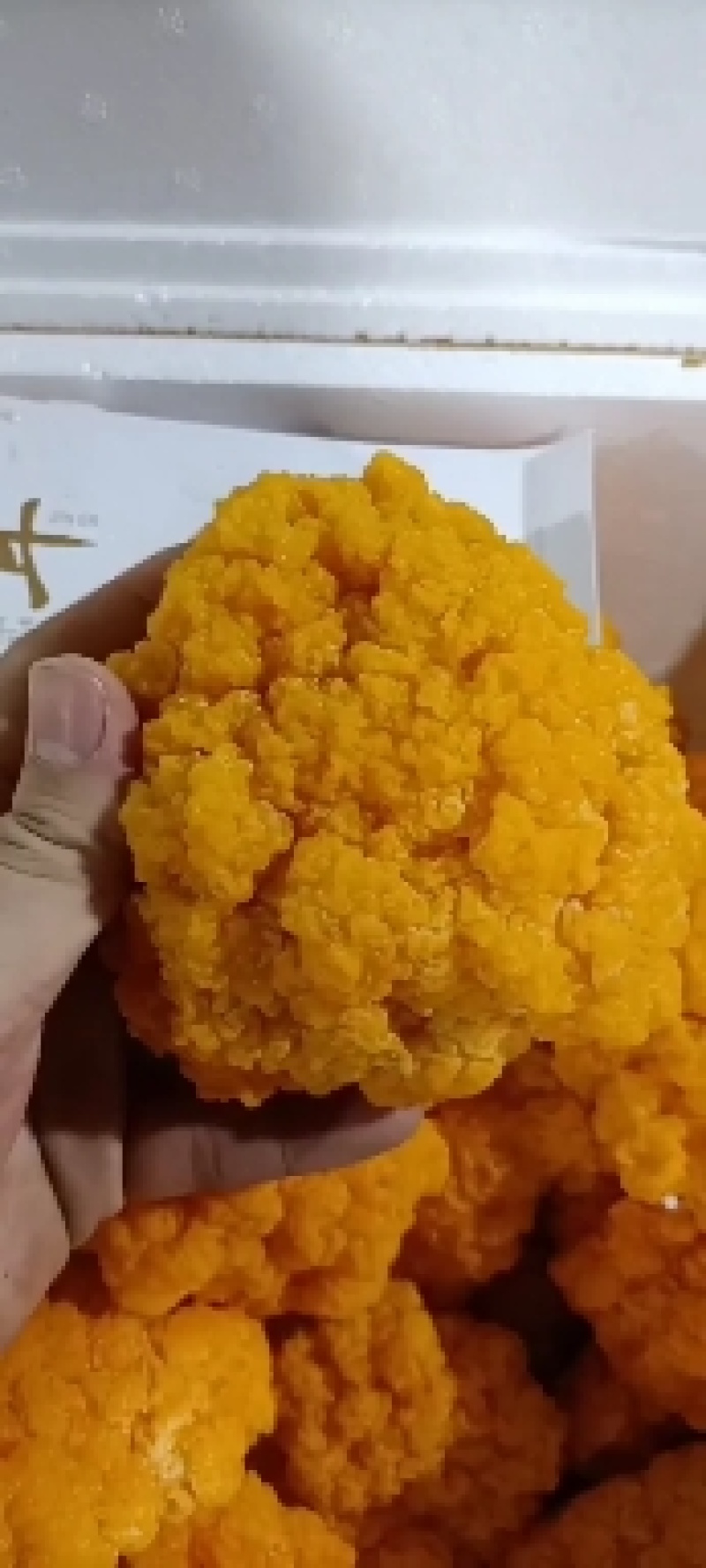 金耳菌