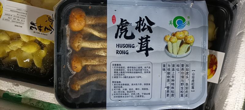 虎松耸菌