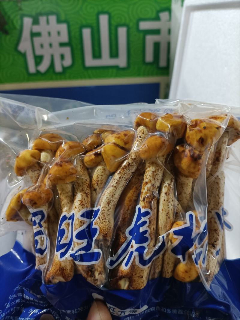 虎松耸菌