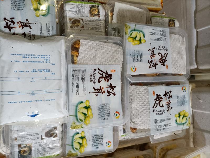 虎松耸菌