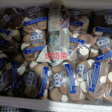 虎奶菌