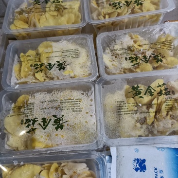 鸡油菌
