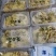 鸡油菌