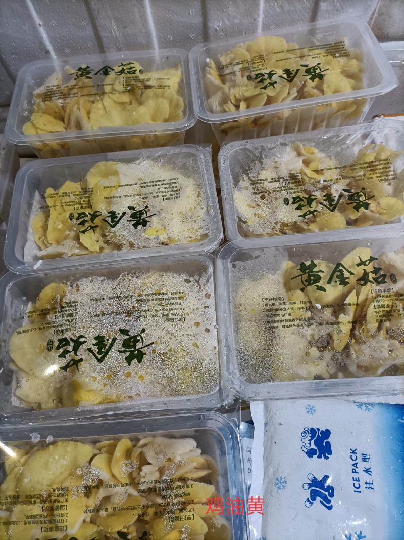 鸡油菌