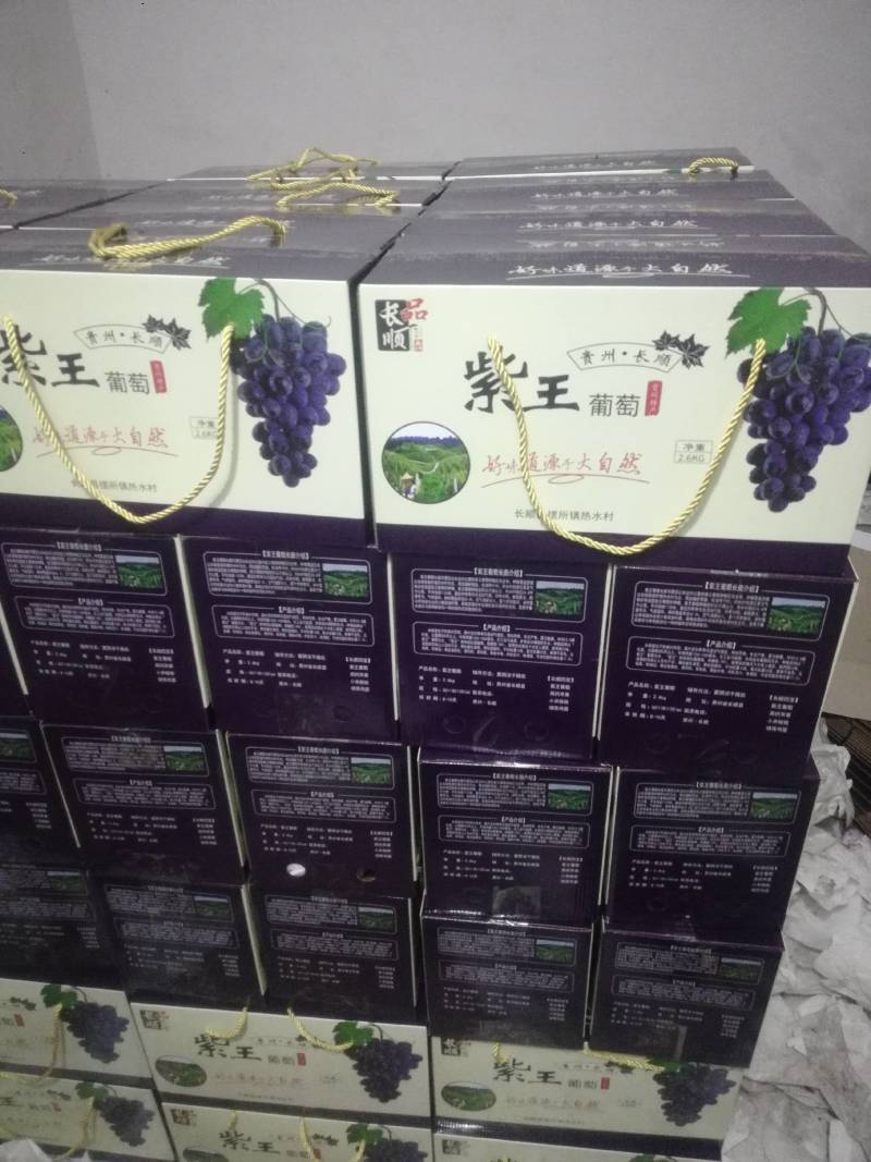 长顺县葡萄