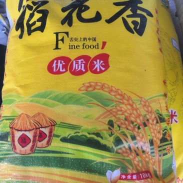 肇源江水大米