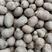 青州原产地批发零售优质白玉山药豆，规格齐全价格合理