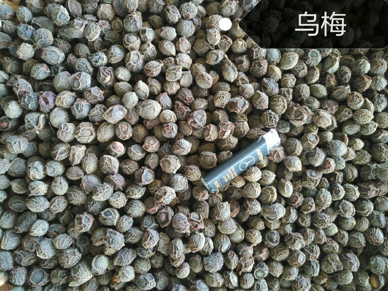 乌梅
