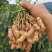 [牛]【七彩鲜花生】云南孟连七彩新花生基地种植产地直发