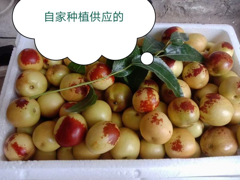 冬枣