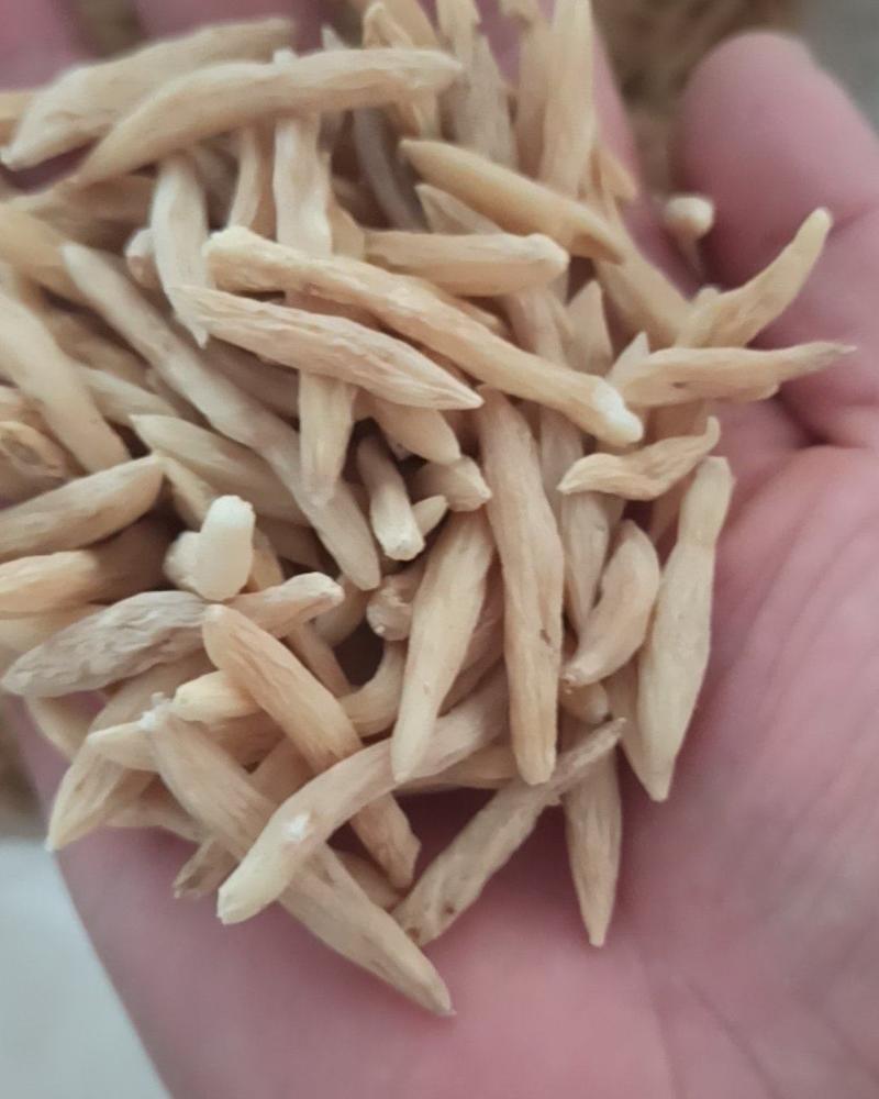 麦冬山麦冬川麦冬中药材批发麦冬质量保证量大从优