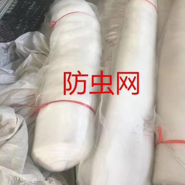 防虫网