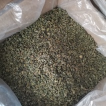 桑叶茶老树霜后桑叶茶非特级纯正品冻干霜后新鲜老树桑叶茶