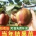 热销品种梨树苗，基地直销，保证品种，诚信第一
