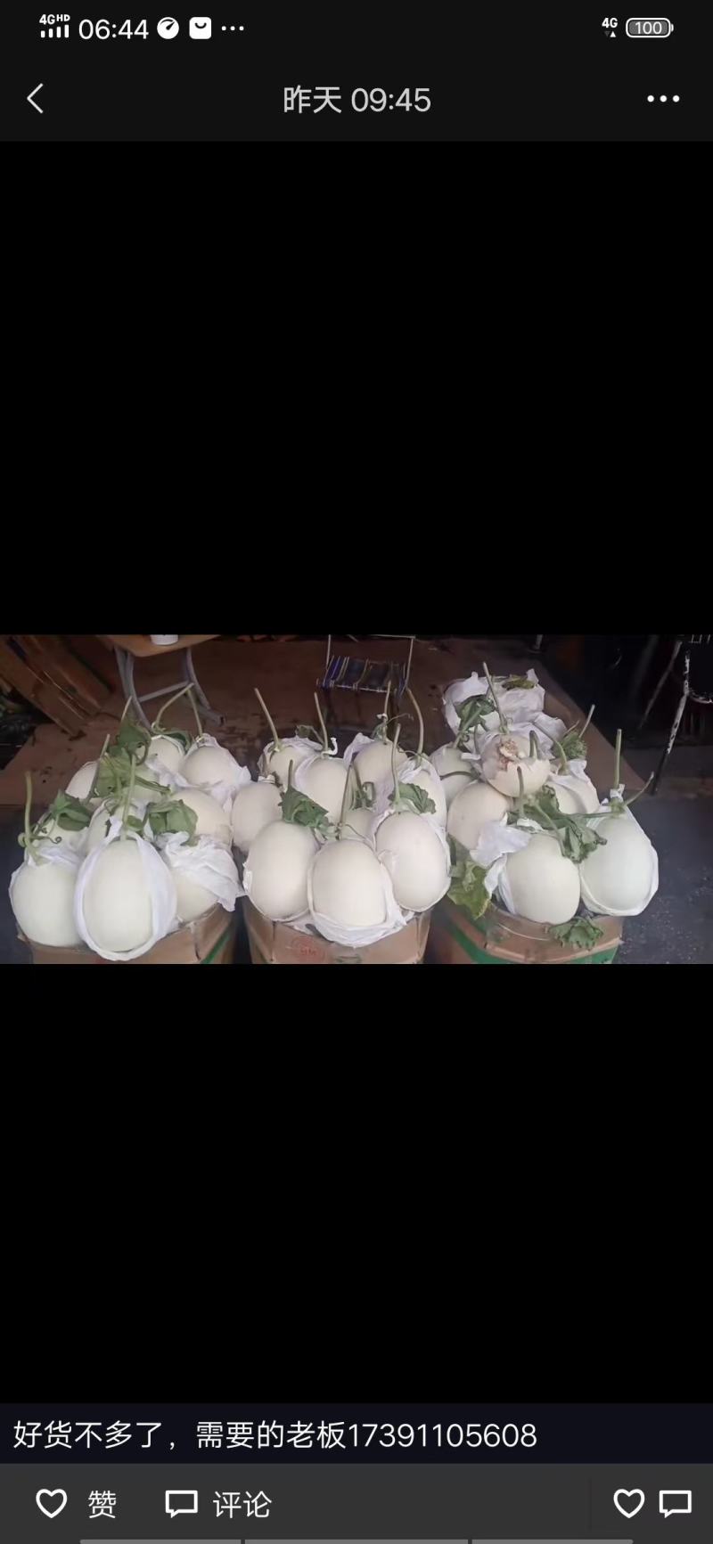 博洋九，白金蜜大量有货，博洋九四，博洋六一。