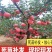 热销苹果树苗，成品苹果树苗，保证质量，保证品种。