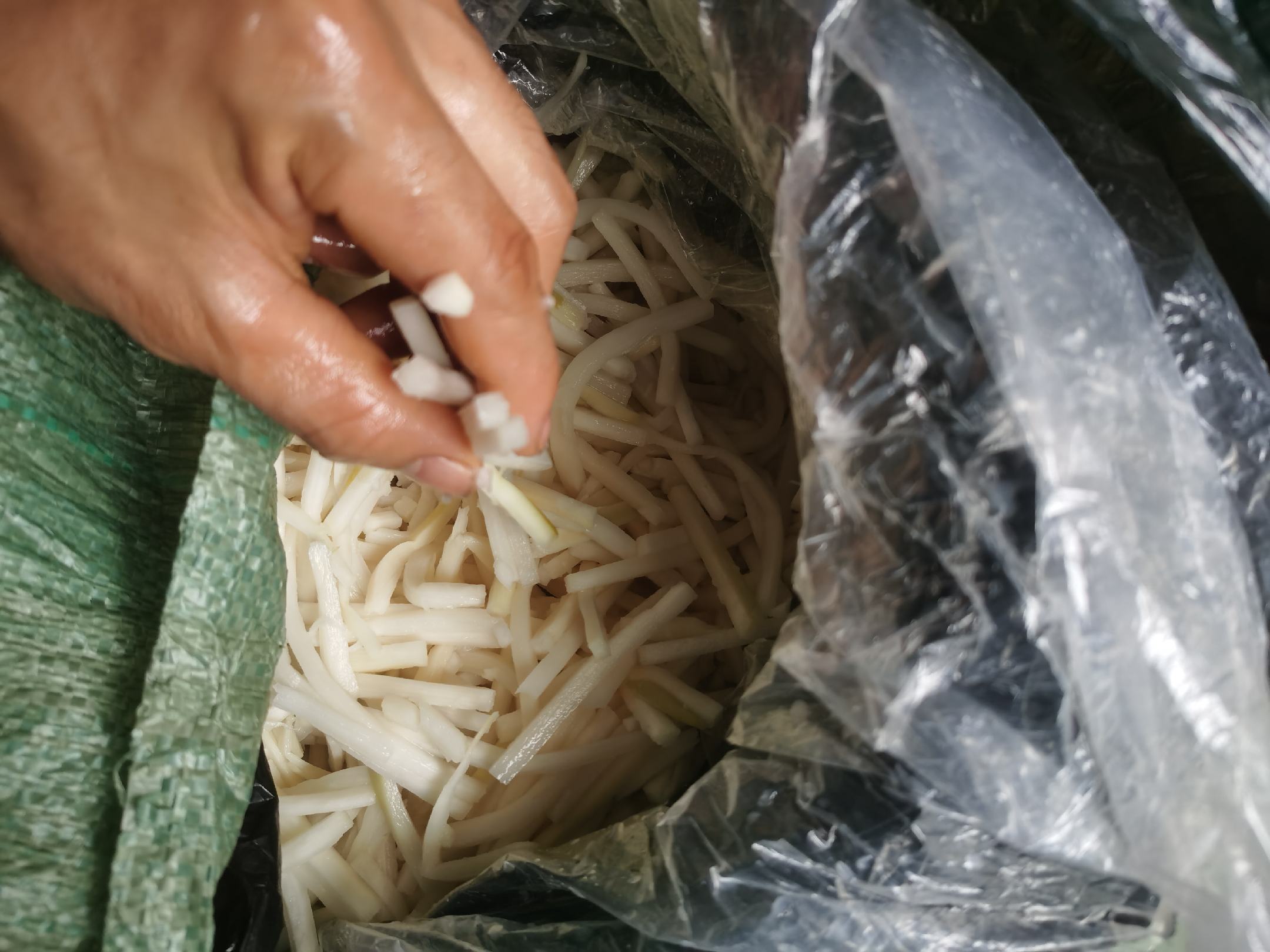 春笋处理全过程