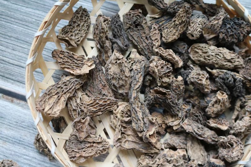 特价野生羊肚菌卖相不好味道很香口感细腻汤味浓