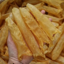 A厂黄花胶45头鱼胶批发足干新鲜货香味浓