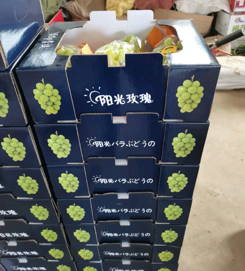 阳光玫瑰葡萄万亩基地大量有货欢迎考察合作共赢