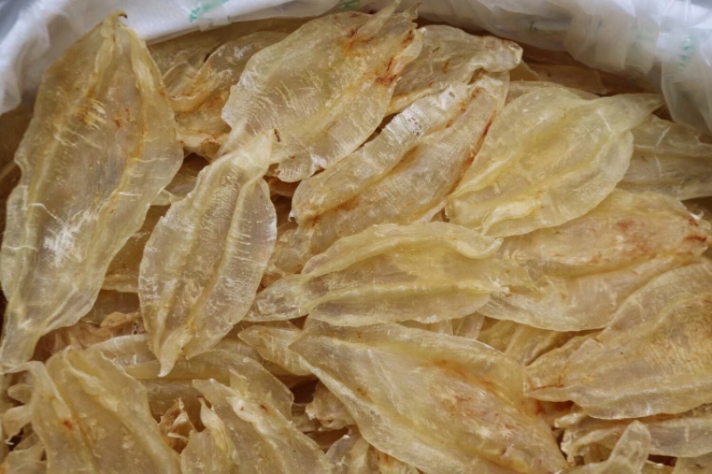 13头原装北海母开片批发足干鱼胶花胶原色好