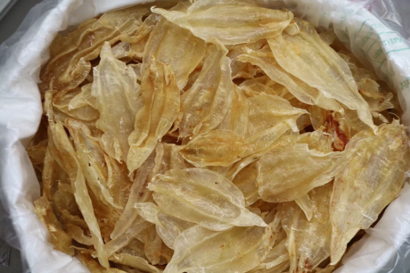 13头原装北海母开片批发足干鱼胶花胶原色好