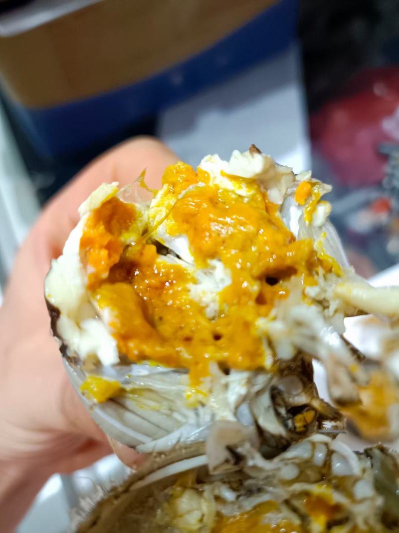 黄河口大闸蟹