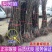柱状梨树苗红梨山农酥梨苗晚秋黄梨树苗包品种包邮包纯度