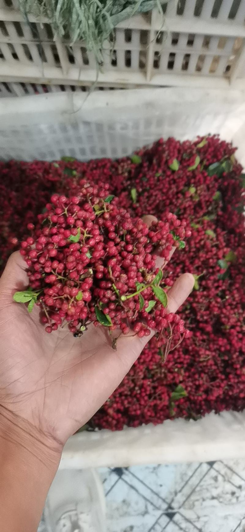 精品香麻小红花椒